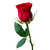 :iconjaytee77: