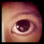 :iconjaythe: