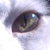 :iconjaythepsycho: