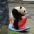 :iconjaywang97: