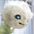 :iconjazmin8uout: