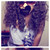 :iconjazmineimagines: