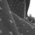 :iconjazz-love: