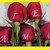 :iconjazzcool1: