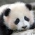 :iconjazziejaypaw: