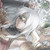 :iconjazzvil09: