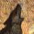 :iconjazzxneena-marie:
