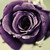:iconjazzy710: