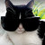 :iconjazzyjj123: