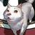 :iconjazzymcflatchest: