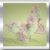 :iconjazzymjr: