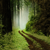 :iconjb1128: