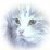 :iconjbdevart: