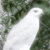 :iconjbhawk: