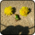 :iconjbm401: