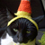 :iconjbonzo2112: