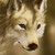 :iconjbourn1416: