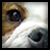 :iconjbr0530: