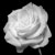 :iconjbrizendine: