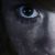 :iconjc-photography: