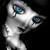 :iconjc024: