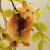 :iconjc1587: