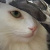 :iconjcatphotography: