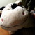 :iconjcbond: