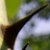 :iconjcbphotography: