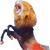 :iconjcfag: