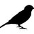 :iconjchap808: