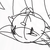 Jclay251 :iconjclay251: