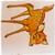 :iconjcn67: