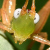 :iconjcripley: