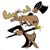 :iconjcvphotos: