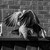 :iconjderflaphoto:
