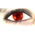 :iconjdreams: