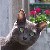 :iconjealithe: