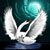 :iconjean-cygtier: