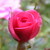:iconjean321: