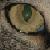 :iconjeanathecat: