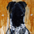 :iconjeand-michel: