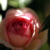 :iconjeanettesedell: