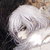 :iconjeanjam: