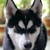 :iconjeanku3000:
