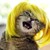Jeanmich0101 :iconjeanmich0101: