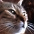 :iconjeannedark666: