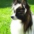 :iconjeanvieve7: