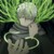 :iconjeanwallker: