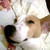 :iconjed007: